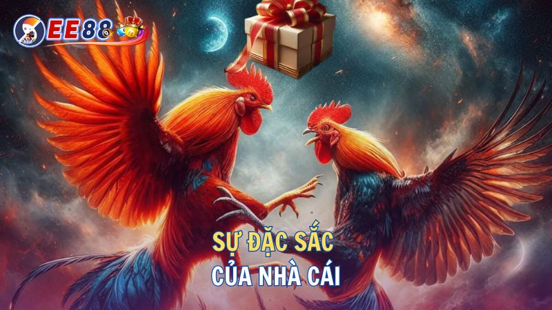 Sự đặc sắc của nhà cái